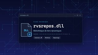 Visuel technique du fichier rvsrepos.dll, bibliothèque de liens dynamiques de Windows