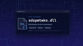 Visuel technique du fichier sdspmtwks.dll, bibliothèque de liens dynamiques de Windows