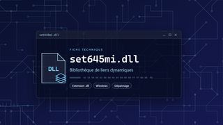 Visuel technique du fichier set645mi.dll, bibliothèque de liens dynamiques de Windows