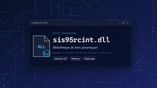 Visuel technique du fichier sis95rcint.dll, bibliothèque de liens dynamiques de Windows