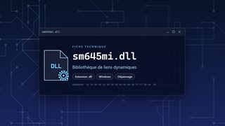 Visuel technique du fichier sm645mi.dll, bibliothèque de liens dynamiques de Windows