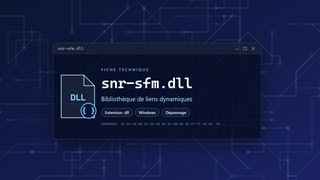 Visuel technique du fichier snr-sfm.dll, bibliothèque de liens dynamiques de Windows