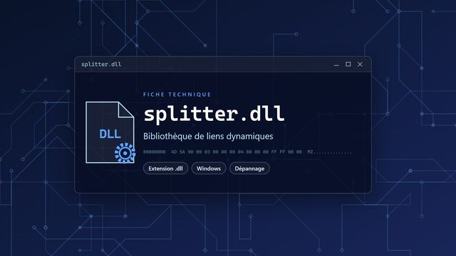 Erreur splitter.dll : causes et solutions Visuel technique du fichier splitter.dll, bibliothèque de liens dynamiques de Windows