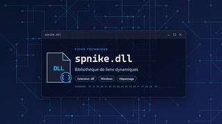 Visuel technique du fichier spnike.dll, bibliothèque de liens dynamiques de Windows