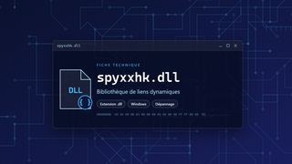 Visuel technique du fichier spyxxhk.dll, bibliothèque de liens dynamiques de Windows