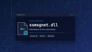 Visuel technique du fichier ssmsgnet.dll, bibliothèque de liens dynamiques de Windows