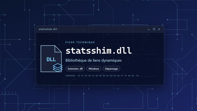 Erreur statsshim.dll : causes et solutions Visuel technique du fichier statsshim.dll, bibliothèque de liens dynamiques de Windows