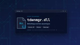 Visuel technique du fichier tdwnmgr.dll, bibliothèque de liens dynamiques de Windows
