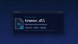 Visuel technique du fichier transx.dll, bibliothèque de liens dynamiques de Windows
