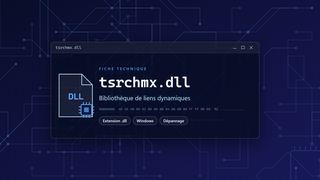 Visuel technique du fichier tsrchmx.dll, bibliothèque de liens dynamiques de Windows