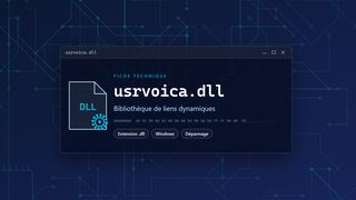 Visuel technique du fichier usrvoica.dll, bibliothèque de liens dynamiques de Windows