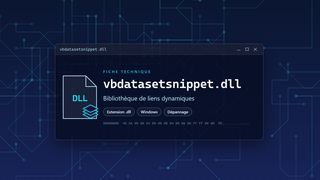 Visuel technique du fichier vbdatasetsnippet.dll, bibliothèque de liens dynamiques de Windows