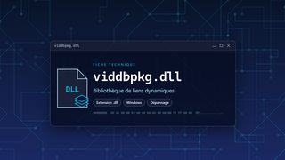 Visuel technique du fichier viddbpkg.dll, bibliothèque de liens dynamiques de Windows