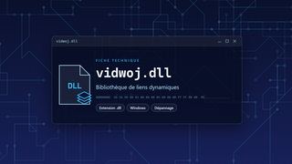 Visuel technique du fichier vidwoj.dll, bibliothèque de liens dynamiques de Windows