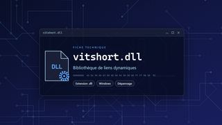Visuel technique du fichier vitshort.dll, bibliothèque de liens dynamiques de Windows