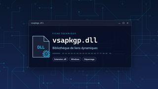 Visuel technique du fichier vsapkgp.dll, bibliothèque de liens dynamiques de Windows