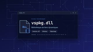 Visuel technique du fichier vspkg.dll, bibliothèque de liens dynamiques de Windows