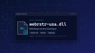 Visuel technique du fichier webrstr-usa.dll, bibliothèque de liens dynamiques de Windows