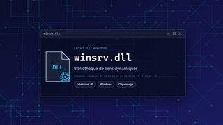 Visuel technique du fichier winsrv.dll, bibliothèque de liens dynamiques de Windows