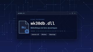 Visuel technique du fichier wk30db.dll, bibliothèque de liens dynamiques de Windows