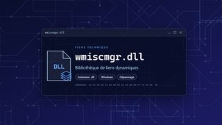 Visuel technique du fichier wmiscmgr.dll, bibliothèque de liens dynamiques de Windows