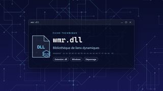 Visuel technique du fichier wmr.dll, bibliothèque de liens dynamiques de Windows
