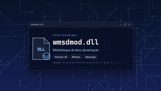 Visuel technique du fichier wmsdmod.dll, bibliothèque de liens dynamiques de Windows