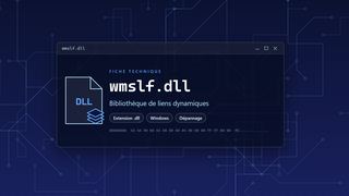 Visuel technique du fichier wmslf.dll, bibliothèque de liens dynamiques de Windows