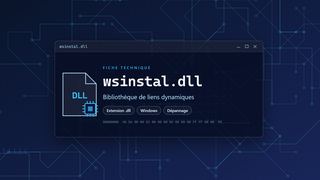 Visuel technique du fichier wsinstal.dll, bibliothèque de liens dynamiques de Windows