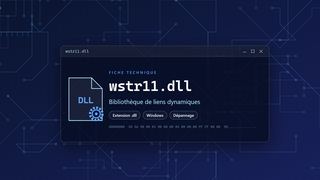 Visuel technique du fichier wstr11.dll, bibliothèque de liens dynamiques de Windows