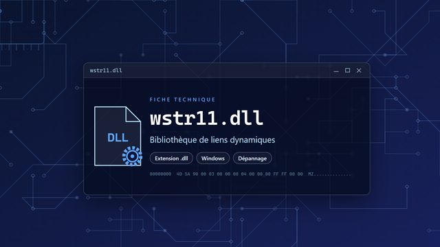 Erreur wstr11.dll : causes et solutions Visuel technique du fichier wstr11.dll, bibliothèque de liens dynamiques de Windows