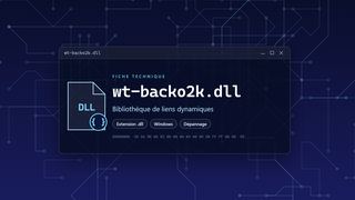 Visuel technique du fichier wt-backo2k.dll, bibliothèque de liens dynamiques de Windows