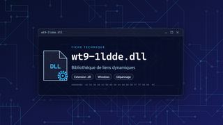 Visuel technique du fichier wt9-1ldde.dll, bibliothèque de liens dynamiques de Windows