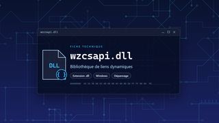Visuel technique du fichier wzcsapi.dll, bibliothèque de liens dynamiques de Windows